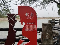 -大湾区中央湿地公园