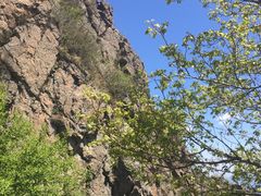 -白草畔自然风景区