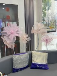 -上海漾颜医疗美容