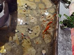 -东巴人鱼豆花火锅(幸福街店)