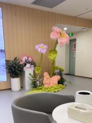 -上海伊莱美医疗美容医院