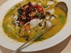 金汤酸菜鱼-吕氏疙瘩汤·新派鲁菜(东城万达广场店)