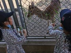 -西安秦岭野生动物园