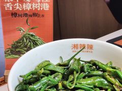 -老湘村·湖南土菜(天河维多利店)