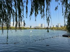 -天鹅湖体育公园