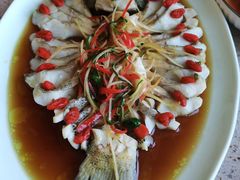 -优护佳医护级月嫂(和睦家浦西店)