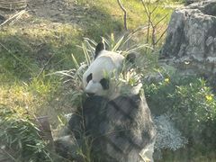 -无锡动物园·太湖欢乐园
