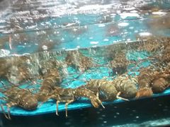 -阿伟海鲜楼·福建菜(延寿店)
