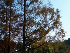 -东钱湖旅游度假区