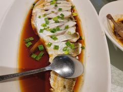 -金美华轩(东方路齐鲁店)