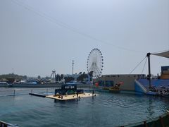 -秦皇岛乐岛海洋王国