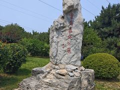 -云岗森林公园