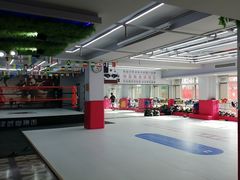 -津武堂散打搏击俱乐部(河西店)