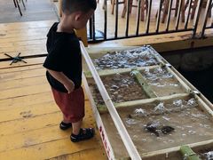 -罗源湾8号渔排