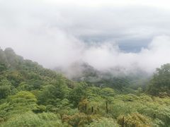 -莫干山风景区