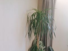 -峰厨大鱼泡饼·天津菜(西青大学城店)