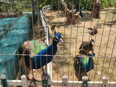 -济南野生动物世界