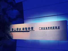 -广东省博物馆