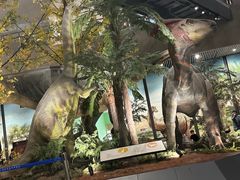 -湖南省地质博物馆