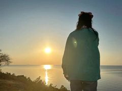 -合肥滨湖国家森林公园