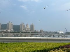 -星海广场