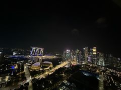 -新加坡瑞士史丹福酒店