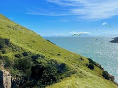-北岐滩涂