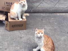 -无牌咖啡&酒馆