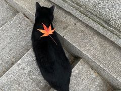 -南山风景名胜区
