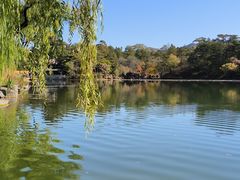 -承德避暑山庄景区