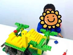 -蓝精灵创客少儿编程(百步亭中心)