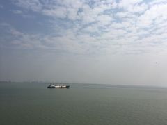 -大湾区中央湿地公园