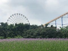 -雀儿山公园