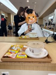 -THE LOG SALON 记录