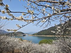 -广州市流溪河国家森林公园