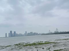 -万绿园
