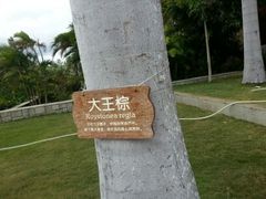 android_upload_pic-三亚亚龙湾红树林度假酒店