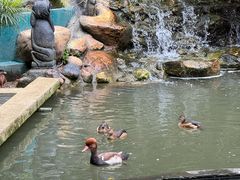 -吉隆坡雀鸟公园