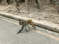 -黔灵山公园