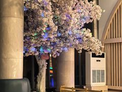 -碧水豪园·足浴·SPA·汗蒸·那须汤泉(中山东路店)
