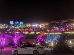 -枇杷园食为鲜火锅(南山店)