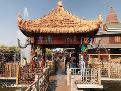 -呀路古热带植物园