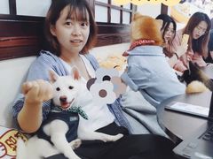 -逗柴咖啡屋·狗咖猫咖宠物桌游