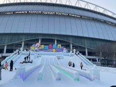 -沈阳奥体冰雪嘉年华