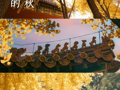 -故宫博物院(故宫)