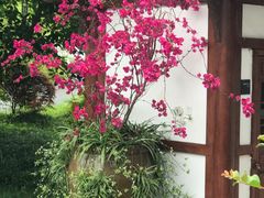 -昌州古城