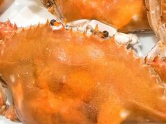 -北塘海鲜·天津菜(大光明桥旗舰店)