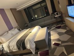 -青奢宠物·青奢猫舍