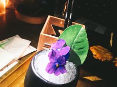 -TZ House音乐现场(茅台店)