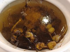 石橄榄炖龙骨汤-陆记鹅庄·潮汕菜·狮头鹅(大仟里店)